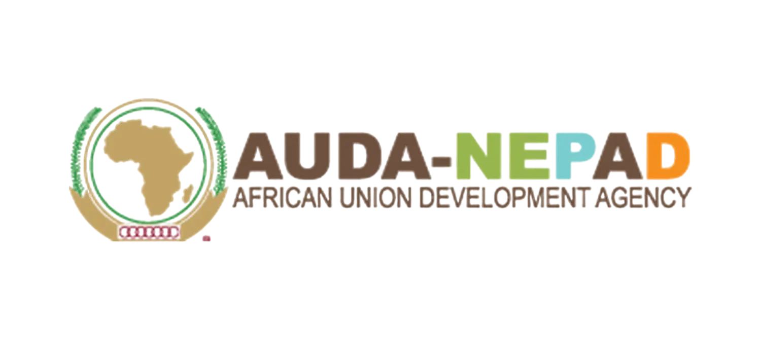 Logo NEPAD